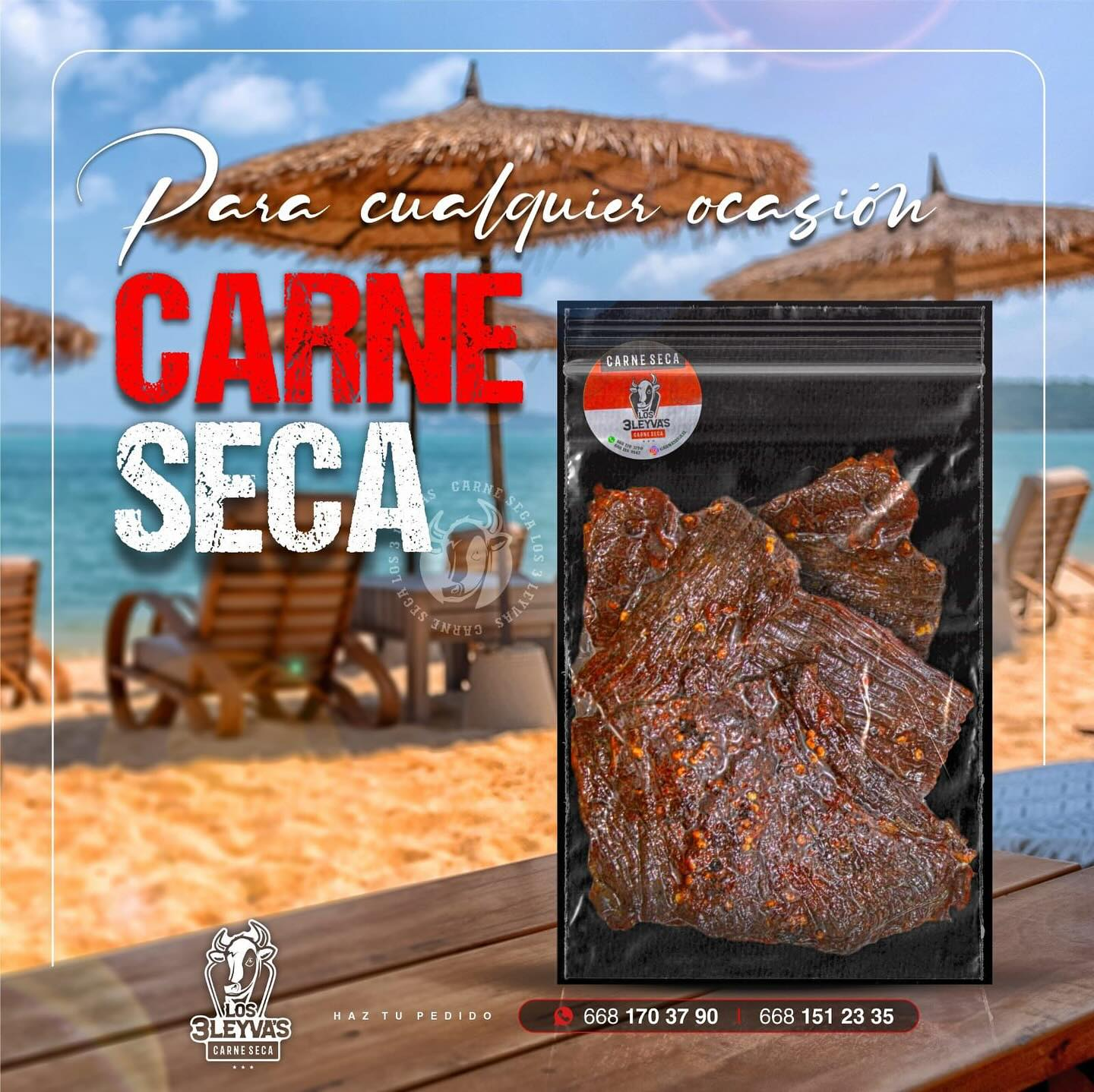 Imagen principal para describir la carne seca premium